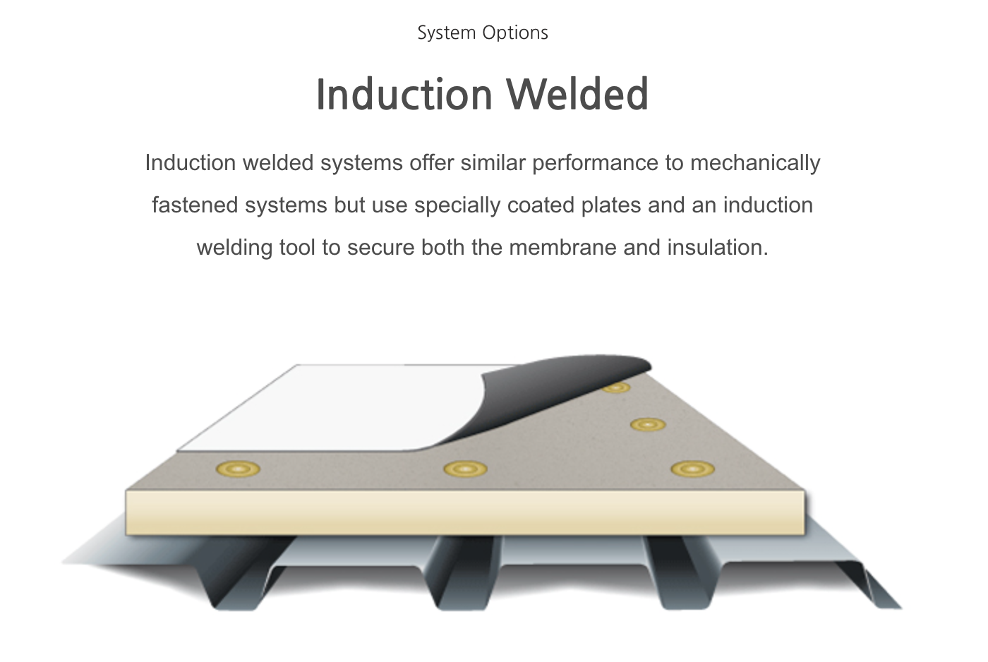 Induction welded commercial roof system with coated plates welded to membrane