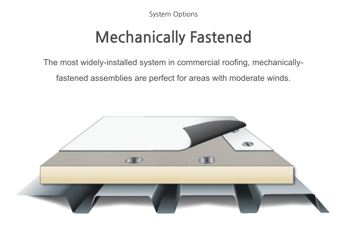 Mechanically fastened commercial roof system showing membrane secured with fasteners and plates